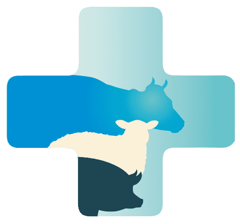 Outlines of a cow, sheep and pig over a first aid cross image