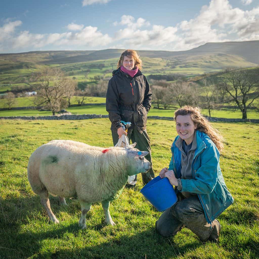 Female farmers hand feeding sheep