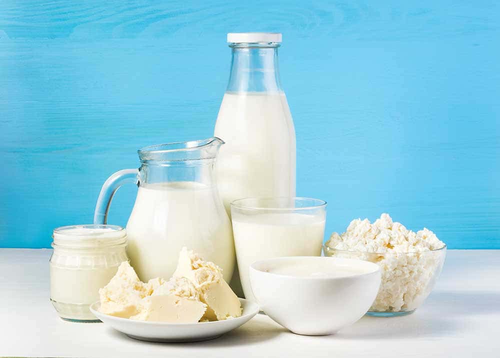 A selection of dairy products in front of a blue background